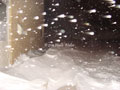 Ground Hog Day Blizzard - Snow falling in Milwaukee, WI